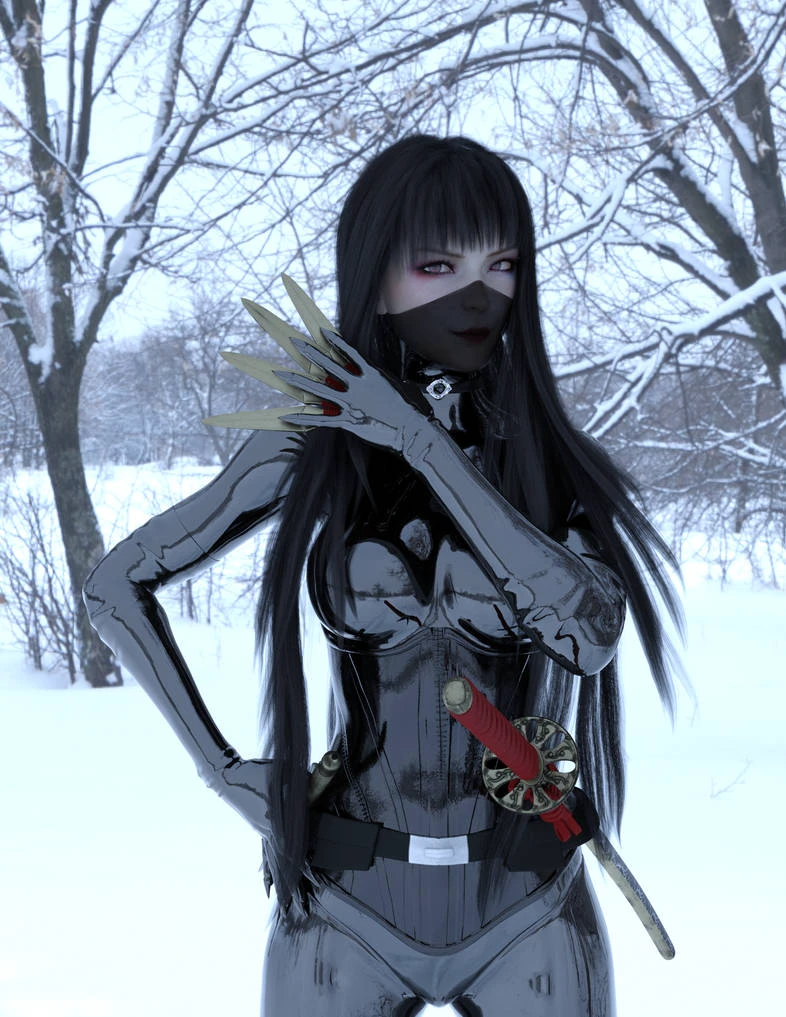 ninja thief V1