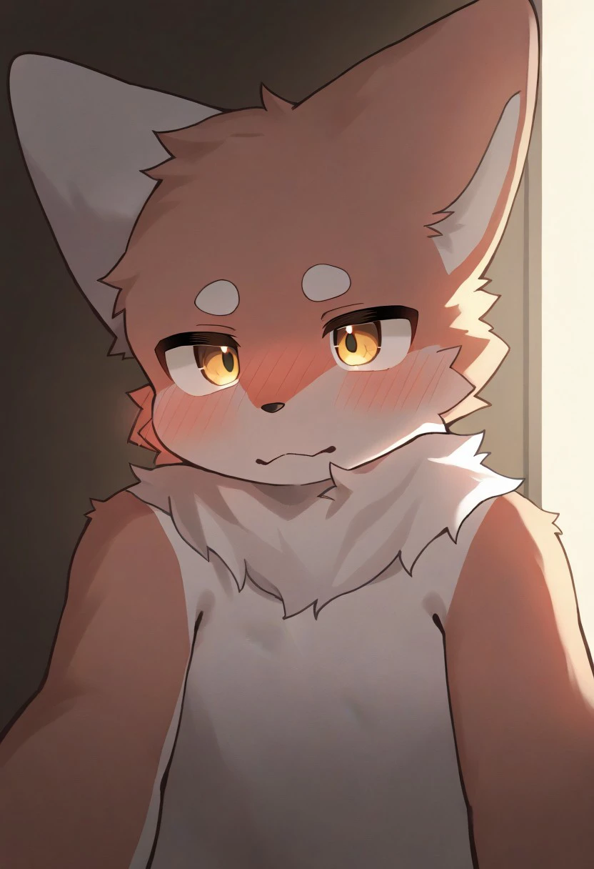 (nozuomu), 1boy, solo, furry, cute, kemono, masterpiece, best quality, very awa, very aesthetic, absurdres, sentensive, looking at viewer, blushing