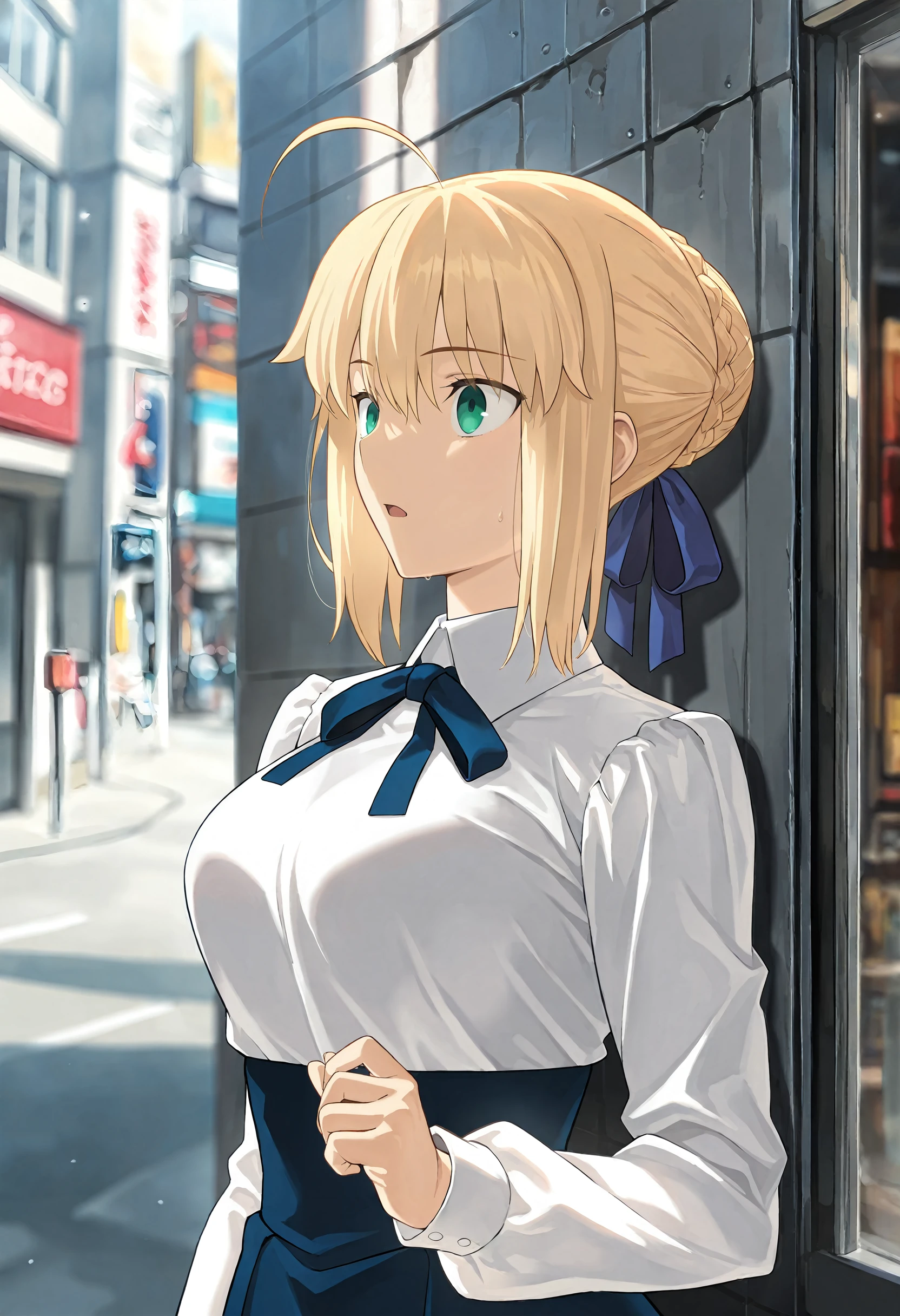 Anime Character) Artoria Pendragon / 알트리아 펜드래곤 (Fate stay night / 페이트 스테이 나이트)