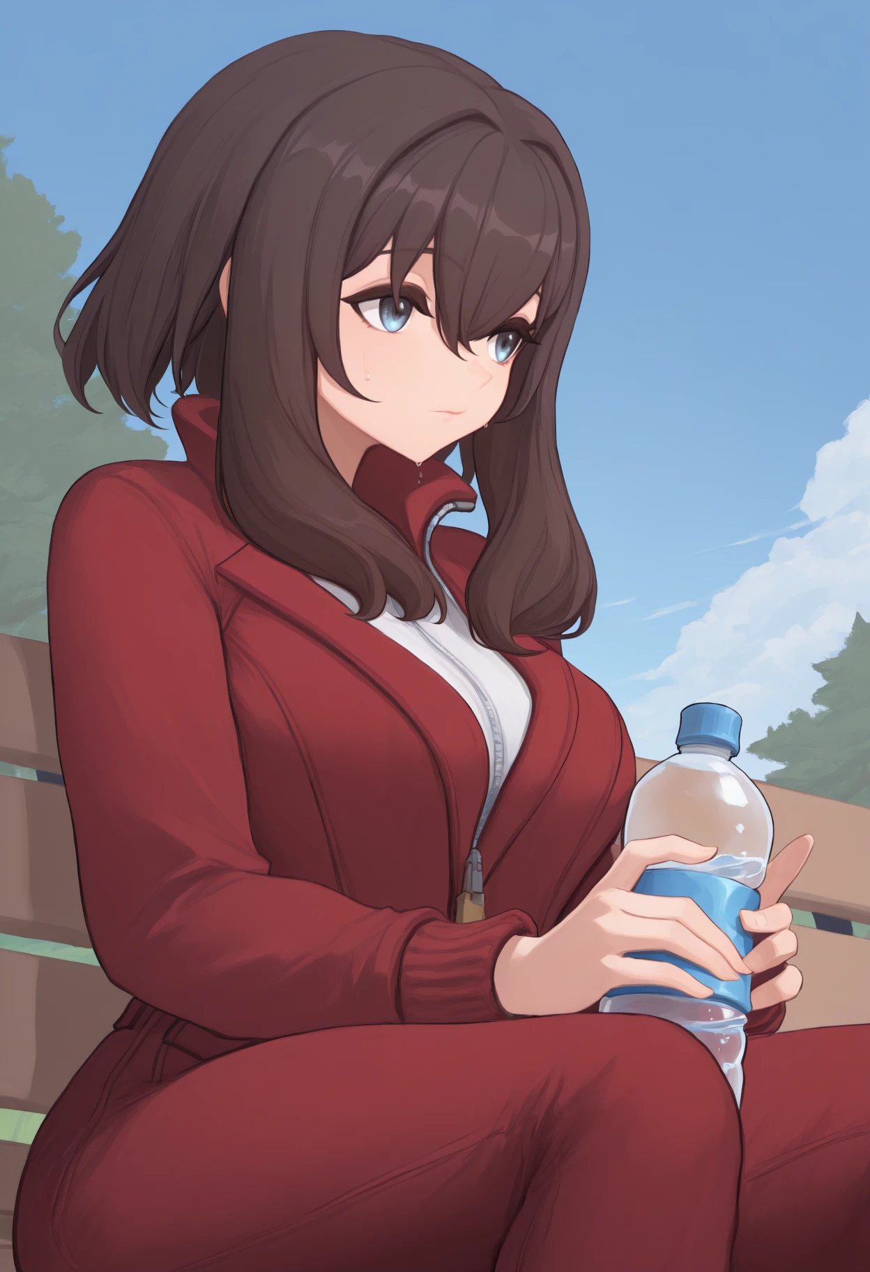 masterpiece, best quality, <break> solo, 1girl, yv3tte, sweat, expressionless, looking away, sitting, park bench, holding water bottle, long hair, brown hair, hair between eyes, blue eyes, track suit, red jacket, track jacket, long sleeves, red pants, outdoors, blue sky, cloud, grass, tree
<segment:yolo-Anzhc Face seg 640 v2 y8n.pt,0.4,0.5//cid=1>