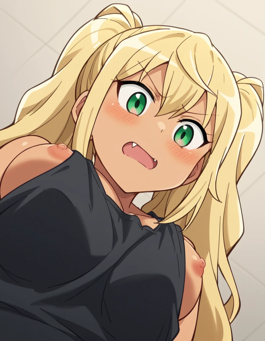 Pec POV - Concept booru