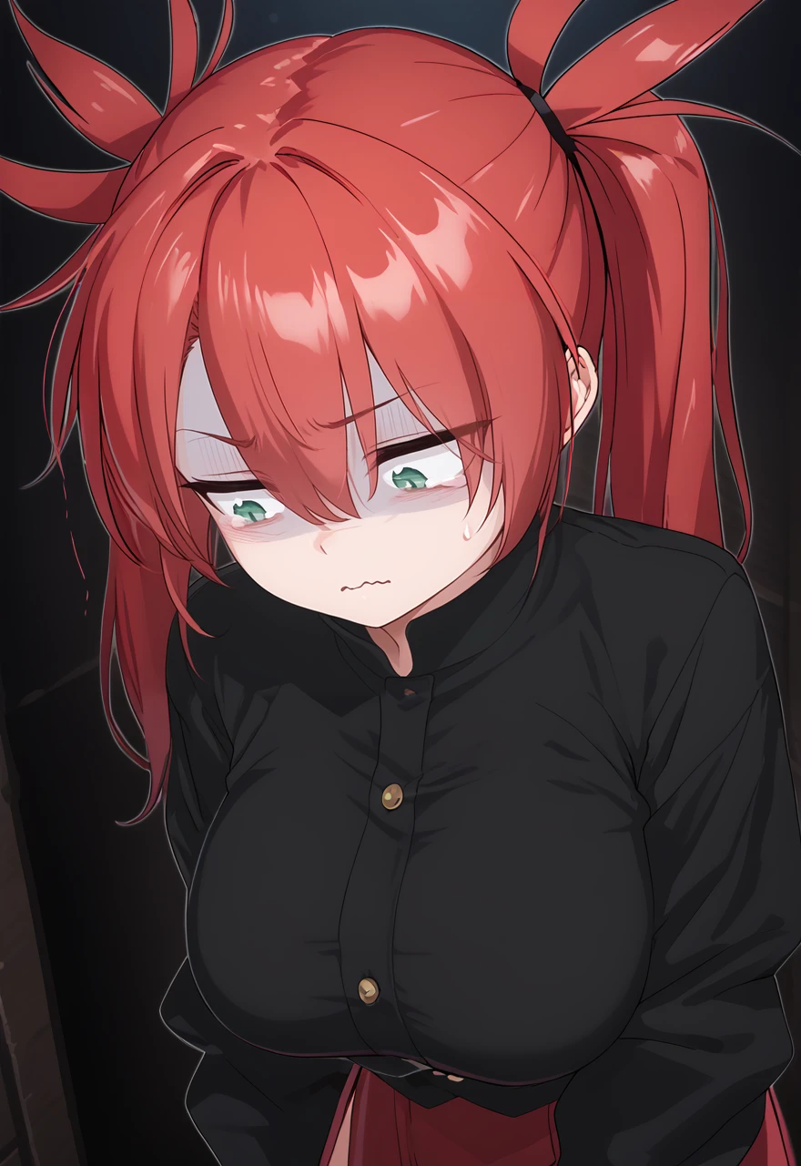 Emotional Anime Expressions [PonyXL Concept] V1