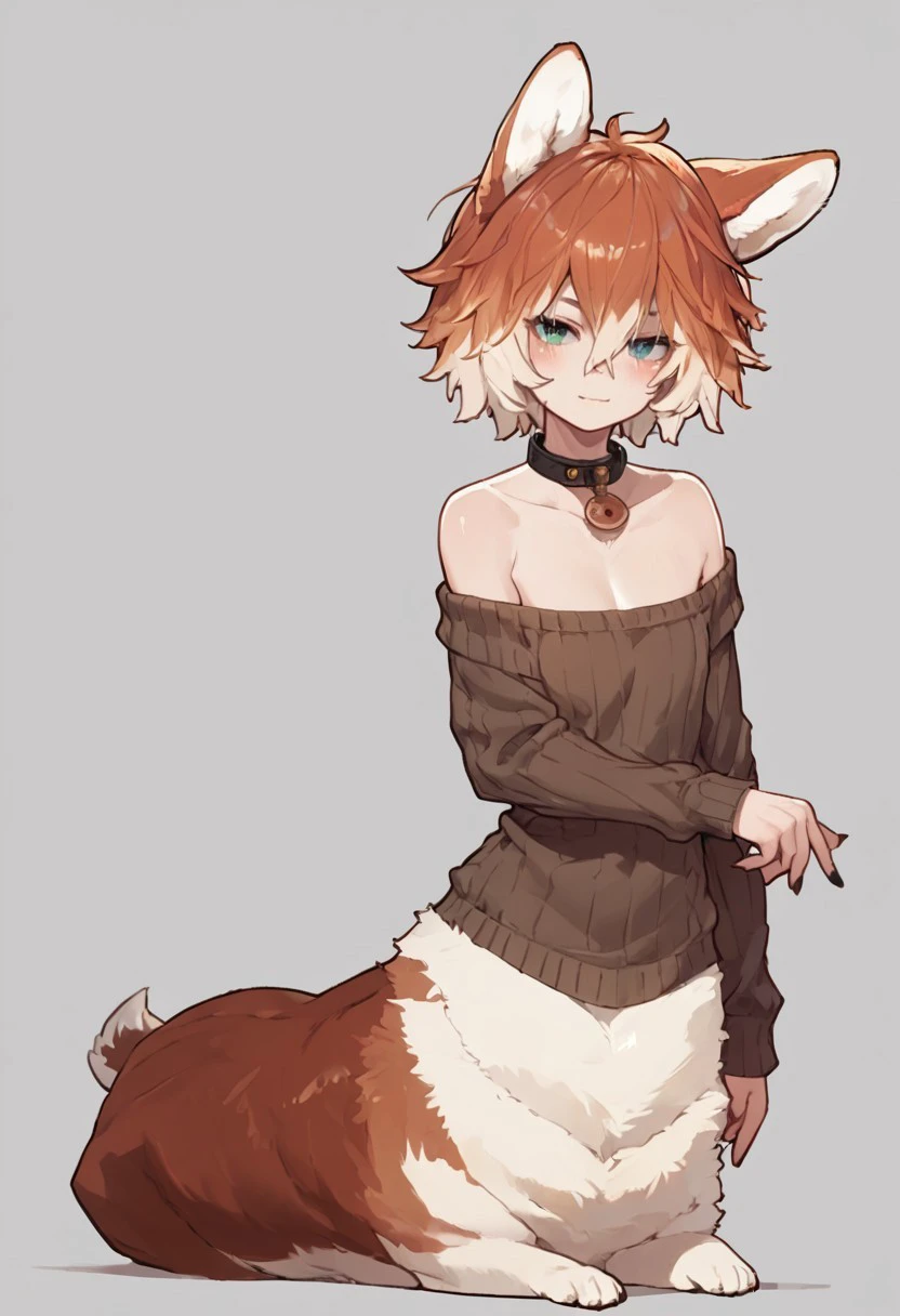 Corgitaur - Corgi centaurs
