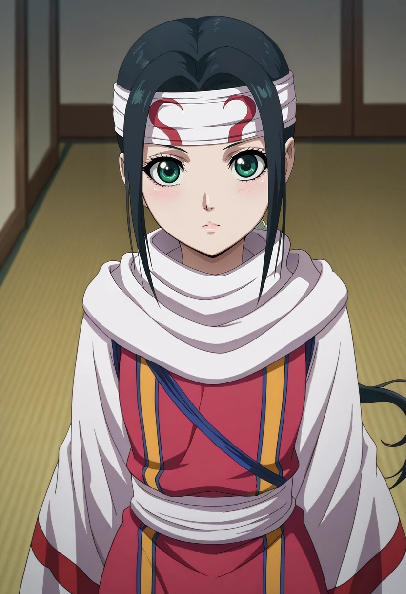 masterpiece, best quality, intricate details, anime screencap, anime coloring, , looking at viewer, , 1girl, solo, <lora:qiang_lei_ilxl:0.98>, qiang_lei, black hair, green eyes, long hair, low ponytail, headband, aged down, , ,