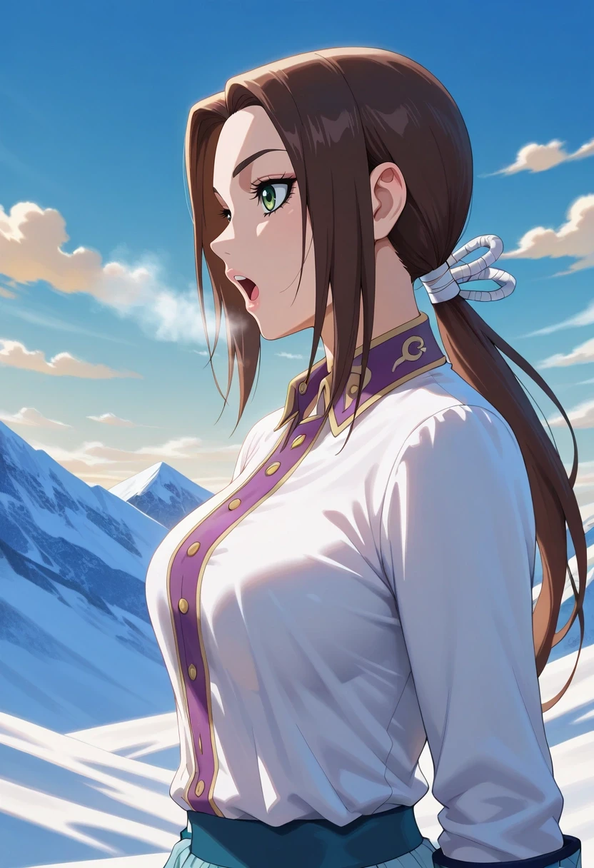 masterpiece, best quality, intricate details, , , , 1girl, solo, <lora:kaine_kingdom_ilxl:0.94>, kaine_kingdom, brown hair, green eyes, long hair, low ponytail, profile, snowy mountain, day, clouds, singing, :o, Marble Trousers, Button-down shirt, Chelseas, ,