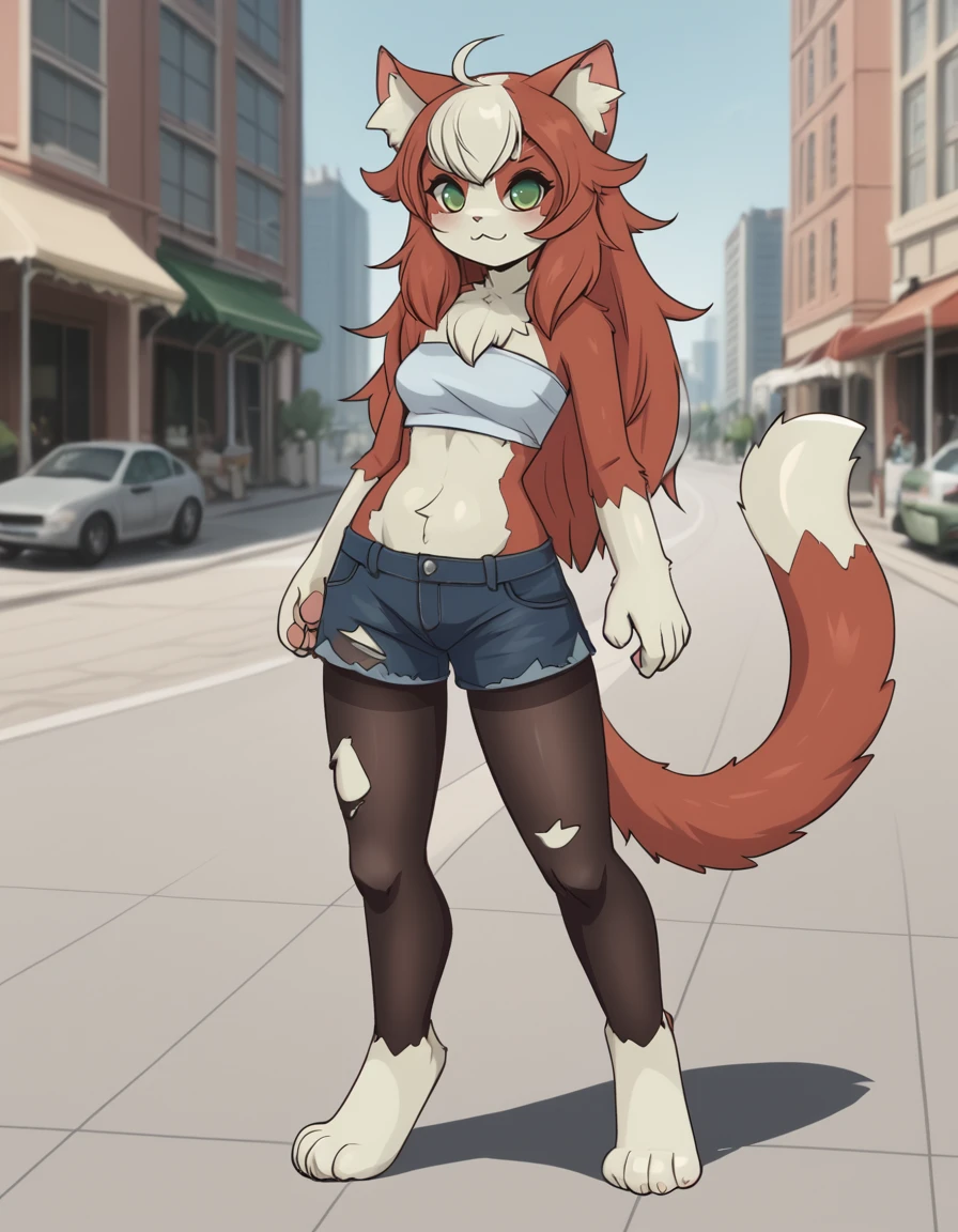 Preview 4
