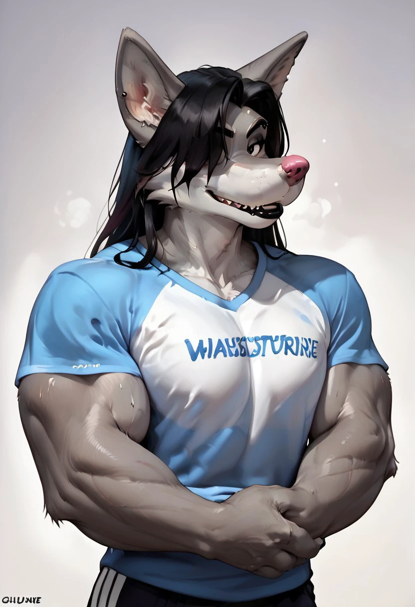 OC-Mal (Canine) V1 V1