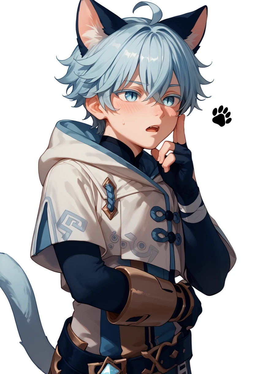 score_9, score_8_up, score_7_up, score_6_up, score_5_up, score_4_up, 

chongyun, 1boy, male focus, animal ears, cat ears, tail, cat tail, gloves, solo, simple background, cat boy, fingerless gloves, light blue hair, ahoge, white background, hair between eyes, paw print, sweat, hood, open mouth, blush, black gloves