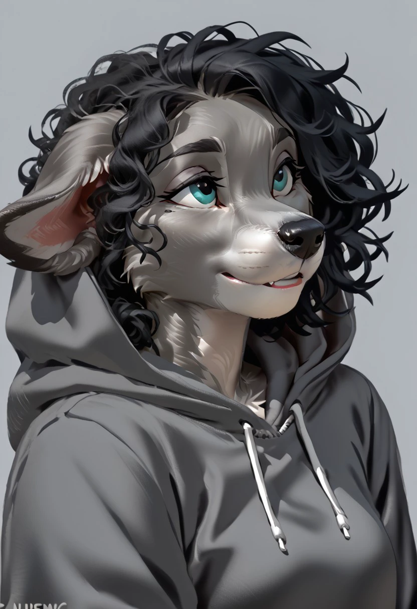 score_9, score_8_up, score_7_up, (by kittydee:1.5), (by jailbird:1.5), (by zummeng:1.5), masterpiece, best quality, (solo),
(Furry Art: Anthro: Greyhound:1.5), expressive eyes, feminine eyes, perfect face, feminine face, dog, canine, slim build, long snout, floppy ears, small breasts, perfect face, (grey fur:1.5), teal eyes, black hair, (curly hair), (hoodie)