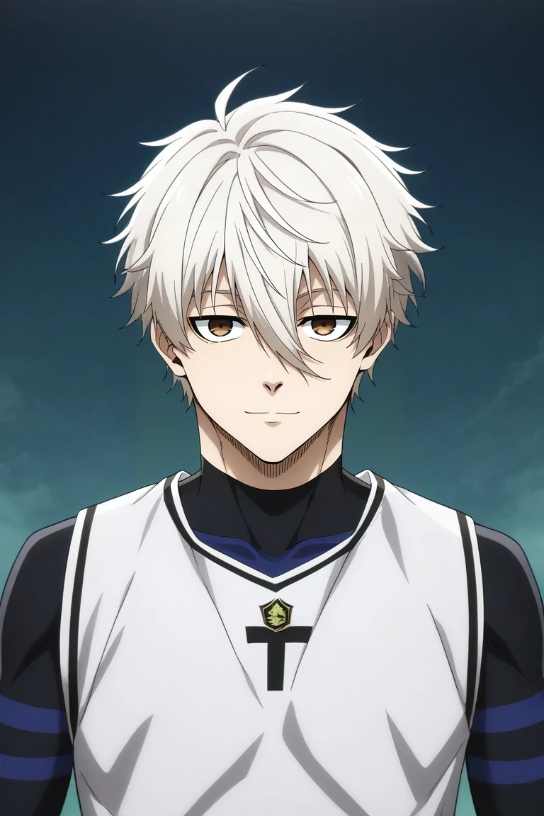 score_9, score_8_up, score_7_up, source_anime, rating_safe, , anime screencap, , official style, , , 1boy, solo, male focus, <lora:seishirou_nagi_pony:0.9>, seishirou_nagi, white hair, brown eyes, short hair, bangs, hair between eyes, symmetry, death valley, noon, victory pose, half-closed eyes, smile, , <lora:sdxl_lightning_8step_lora:1>