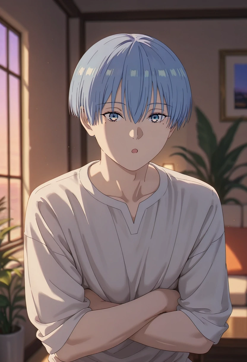 masterpiece, best quality, , (realistic:0.6), , depth of field, 1boy, solo, male focus, <lora:himmel_sousou_no_frieren_ilxl:0.98>, himmel_sousou_no_frieren, blue hair, blue eyes, short hair, bangs, hair between eyes, mole under eye, focused, living room, plant, dawn, arms under breasts, :o,