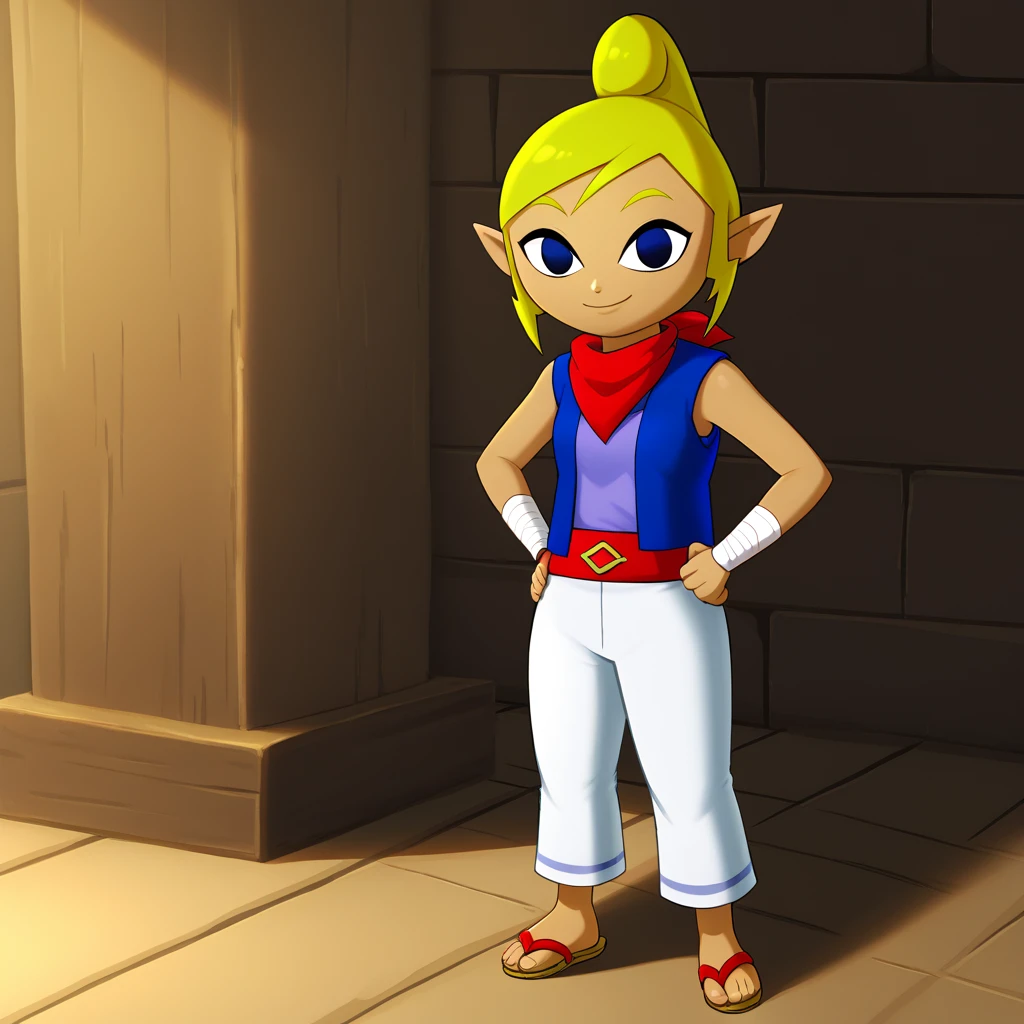 Tetra - Legend of Zelda V1