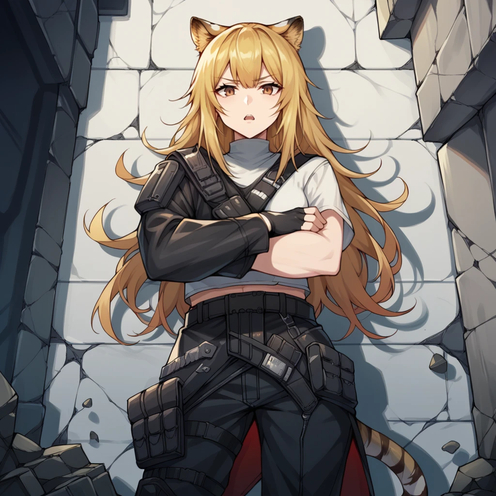 score_9_up, score_8_up, score_7_up, source_anime, 1girl, solo, debris, ruins, ruined cityscape, standing against wall, crossed arms, looking at you, annoyed bored, open mouth,  SGark, SG_3rd, siege (arknights), brown eyes, blonde hair, long hair, tiger ears, tiger tail, white shirt, cropped shirt, tactical clothes, alt pants, black pants, belt, pouch, blonde hair, midriff, fingerless gloves, black gloves, mismatched sleeves, asymmetrical sleeves, mature body, dynamic cowboy shot, 