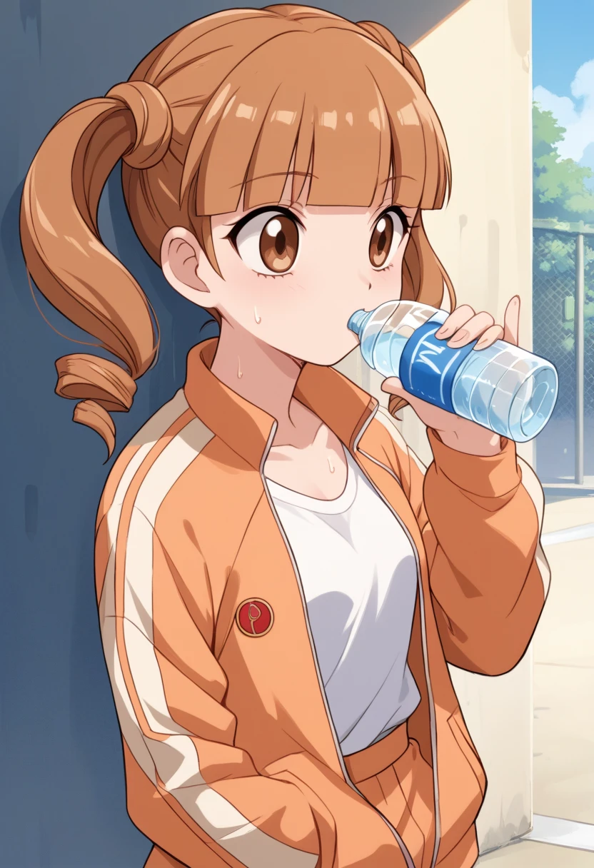 score_9, score_8_up, score_7_up, score_6_up, score_5_up, BREAK
yumeno uta, 1girl, solo, outdoors, onegai my melody, brown eyes, day, twintails, brown hair, blunt bangs, drill hair, jacket, long hair, sweat, drinking water, water bottle