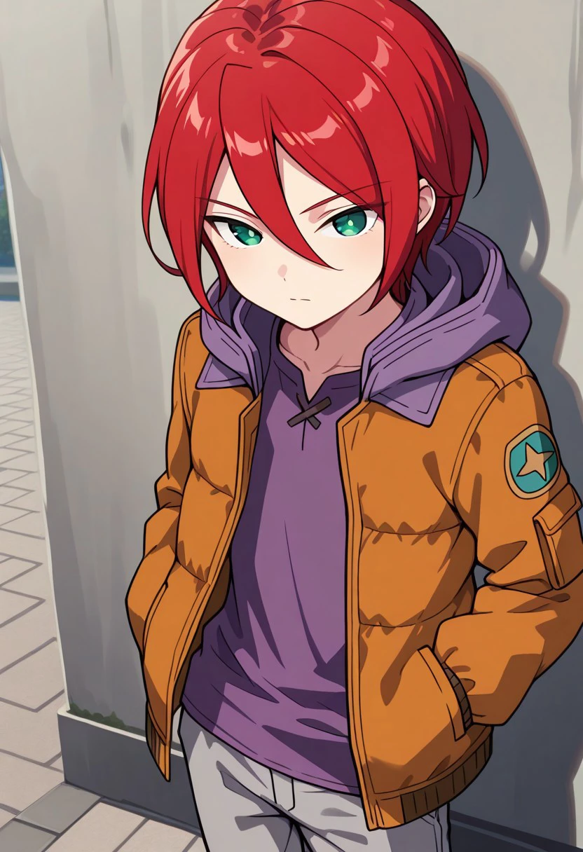 masterpiece, best quality, 
hiroto, 1boy, male focus, solo, red hair, green eyes, alternate hairstyle, hair between eyes, jacket, orange jacket, bomber jacket, hooded jacket, purple hood, open jacket, open clothes, shirt, purple shirt, pants, grey pants,
outdoor,