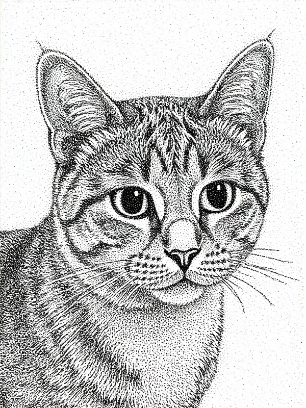 <lora:Pointillism_Art_style:0.9> pointillism art style monochrome of a cat