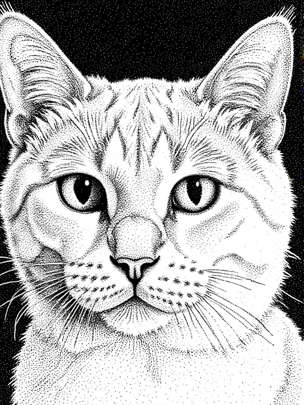 <lora:Pointillism_Art_style:0.9> pointillism art style monochrome of a cat