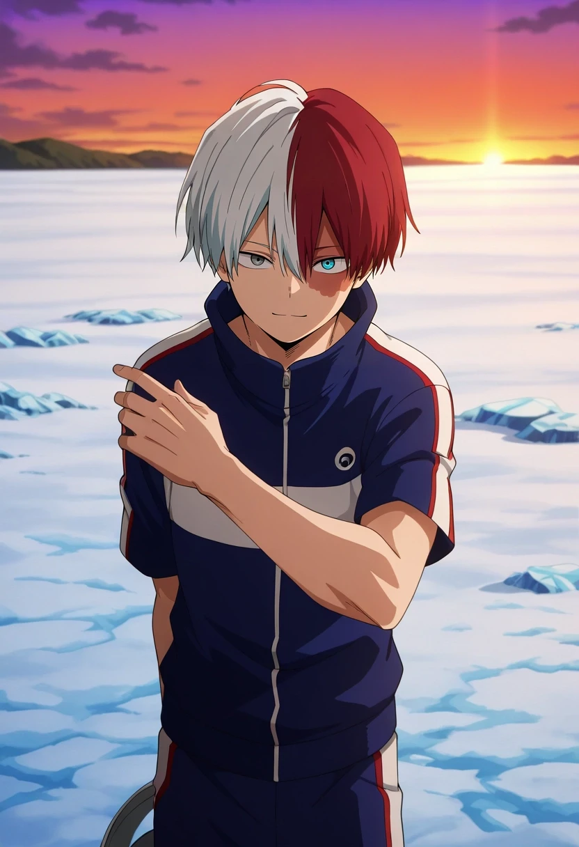 Shouto Todoroki | Boku no Hero Academia / My Hero Academia