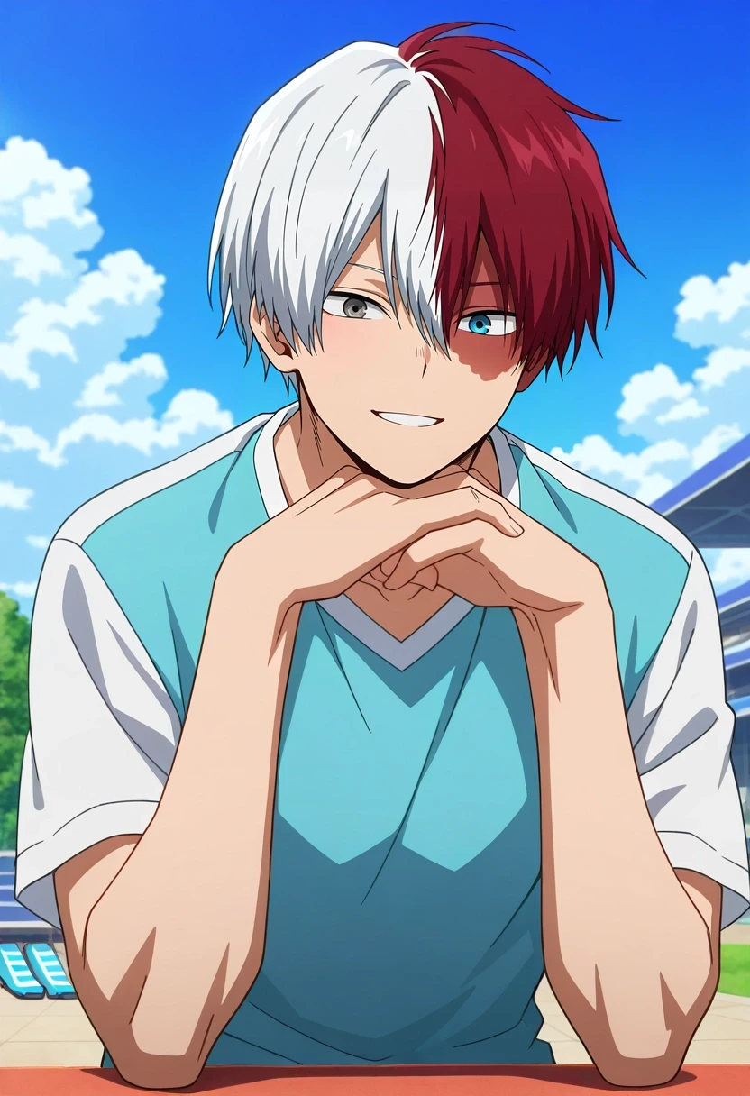 Shouto Todoroki | Boku no Hero Academia / My Hero Academia