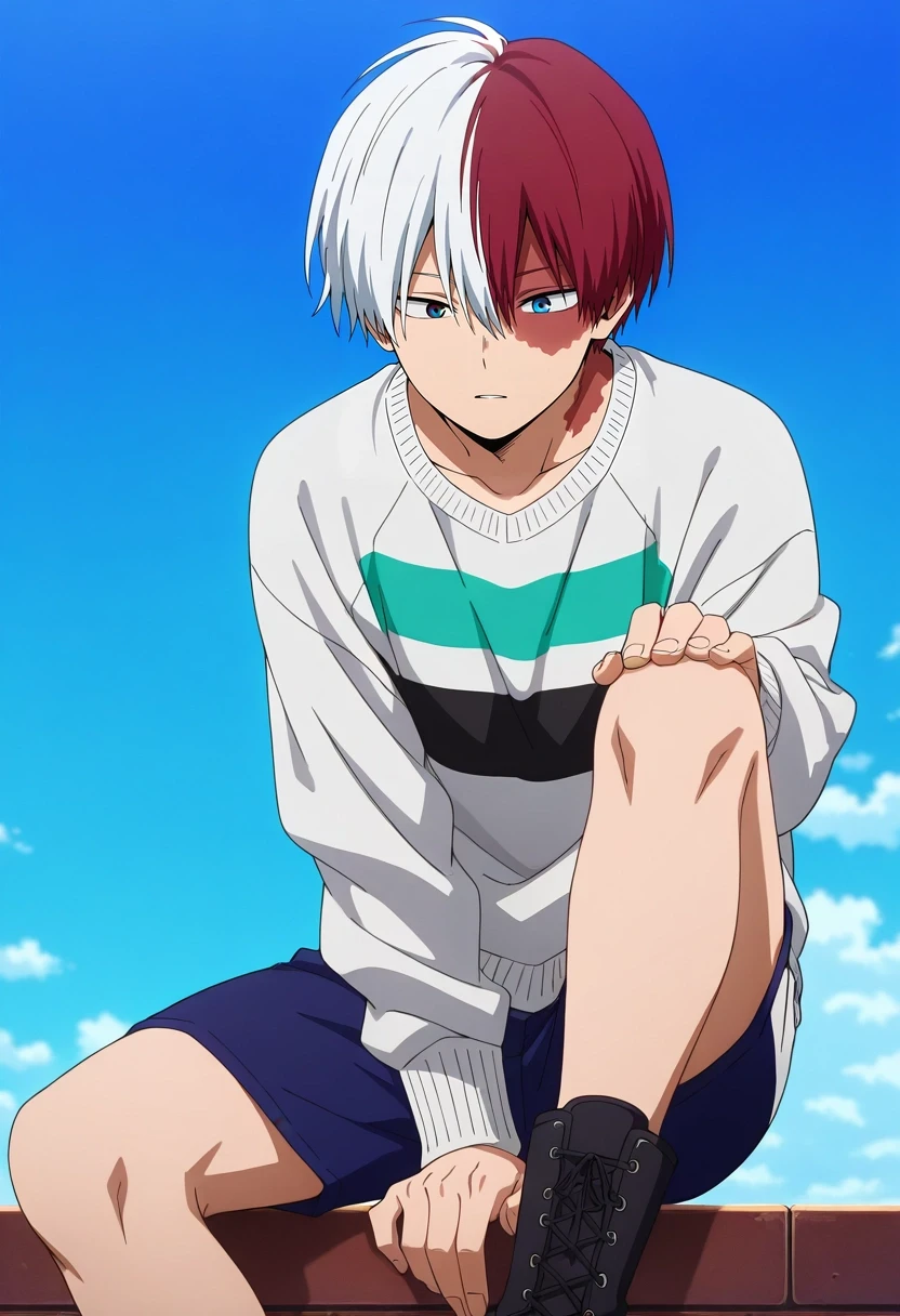 Shouto Todoroki | Boku no Hero Academia / My Hero Academia