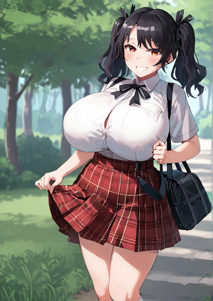 SHIPPE style (illustrious/pony) - V1 V1