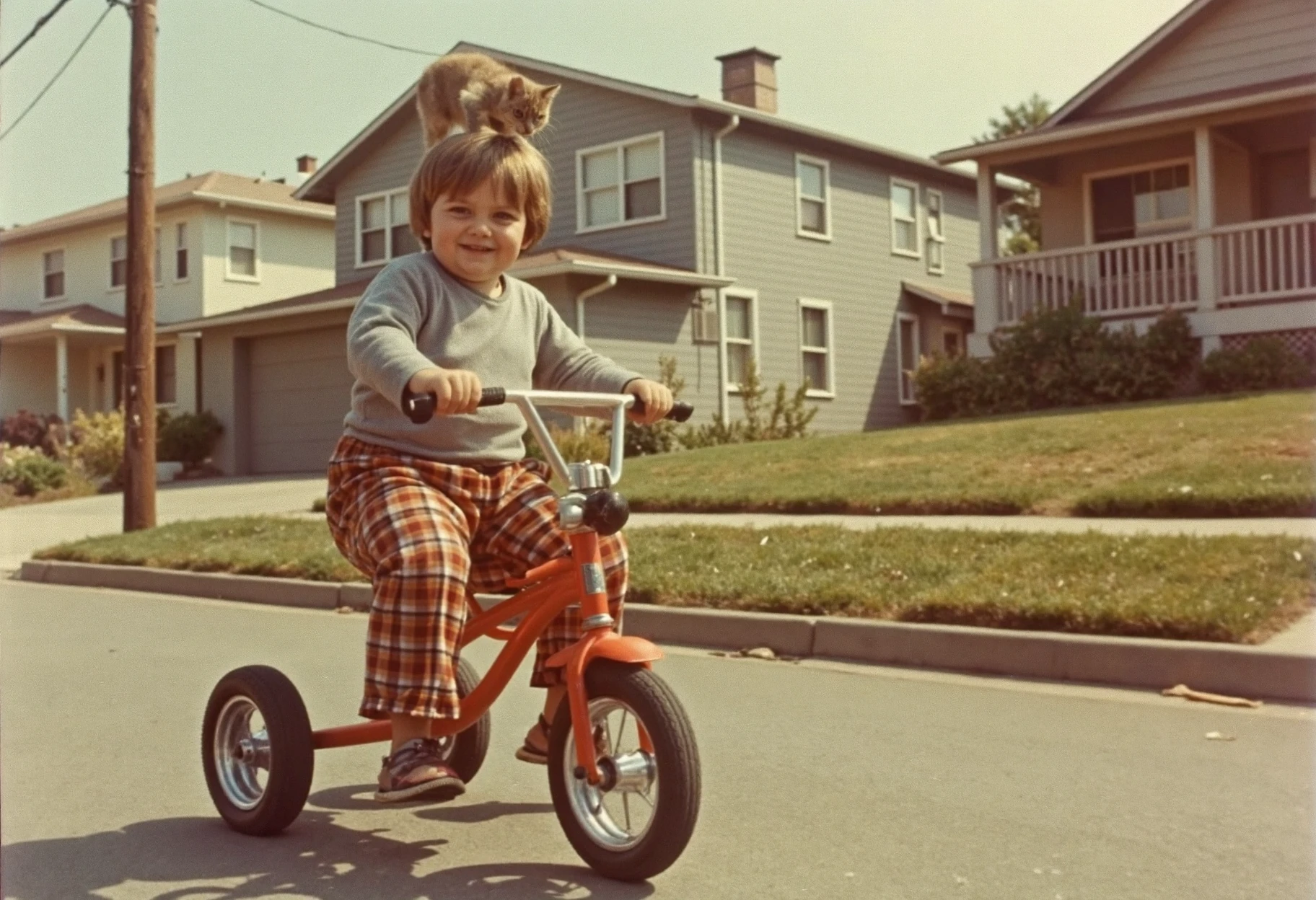 old color photo, a really fat , wearing plaid pants with his pet cougar perched on his head, riding a big cheap hallow plastic tricycle, speeding down an extremely steep hill past some ugly houses, 1980, analog, faded