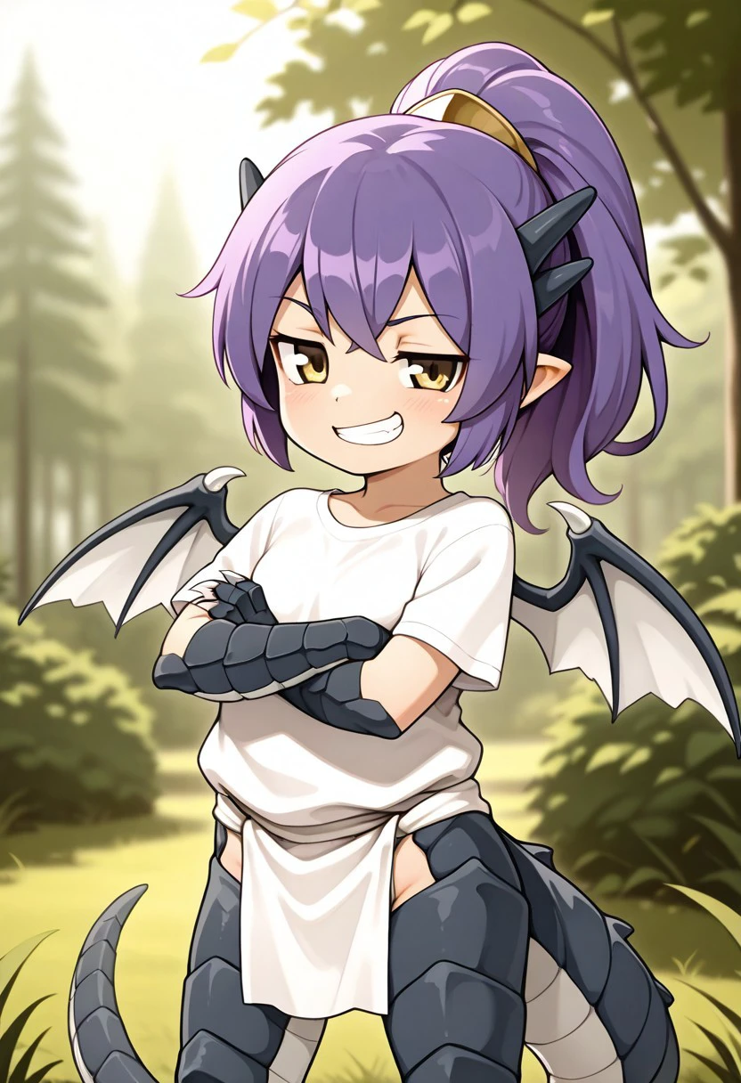 1girl, Papi, purple hair, pony tail, horns, yellow eyes, dragon tail, dragon girl, scales, dragon legs, claws, white shirt, white loincloth, tiny wings,
looking at viewer, standing, crossed arms, grin, smirk,
masterpiece, best quality,amazing quality, very aesthetic, absurdres, depth of field, blurry background, extremely detailed face, detailed eyes