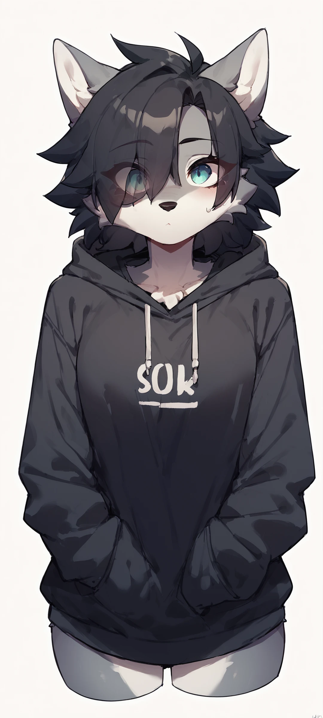 score_9, score_8_up, score_7_up, score_6_up, score_5_up, score_4_up, 1girl, furry, wolf, hoodie, black hair, eyes visible through hair, <lora:E621_First_Page_of_Favorites_Most_Popular_to_Least_Popular:1>