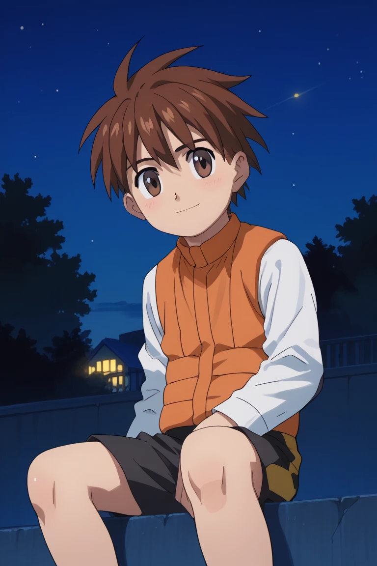 score_9, score_8_up, score_7_up, score_6_up, score_5_up,score_4_up,source_anime
lan hikari, brown hair, brown eyes, 1boy, solo, male focus, night, sky, sitting, shorts, outdoors, night sky, vest, orange vest, long sleeves, star (sky), tree, blush, starry sky, smile, looking at viewer, orange vest, white shirt, black shorts