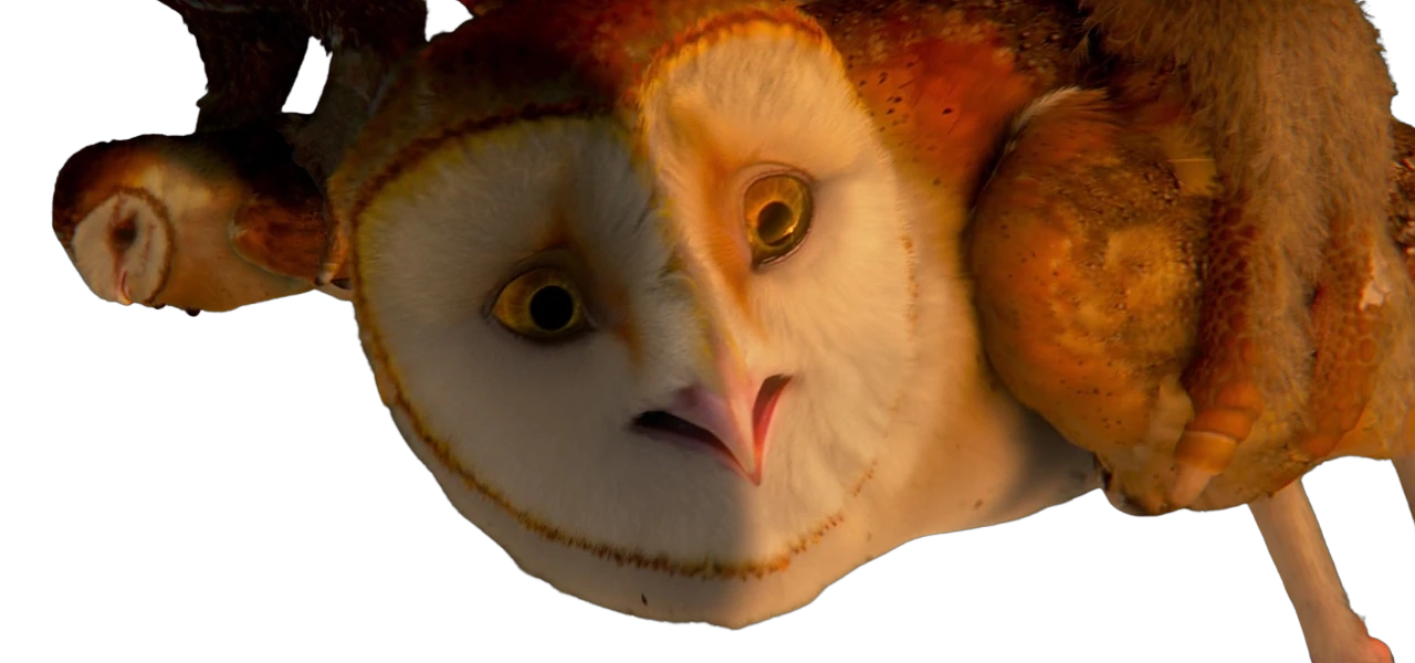 Soren Soren (Ga'Hoole.)