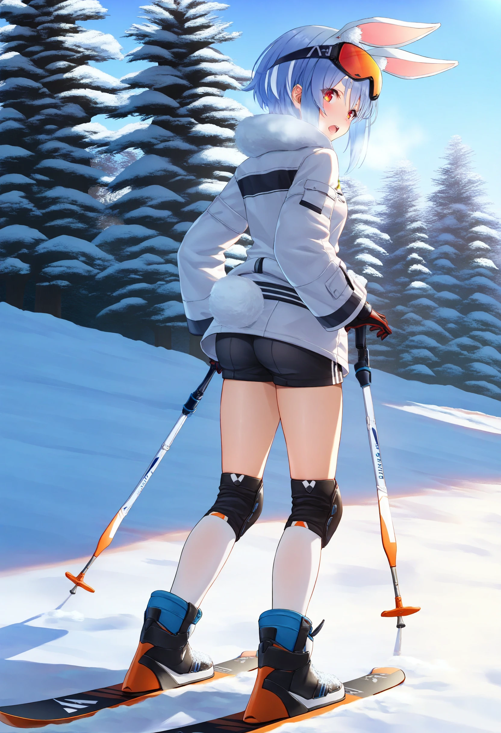 Winter Concepts Collection