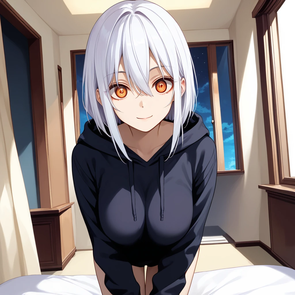 score_9, score_8_up, score_7_up, anime_source, best quality, masterpiece, 1girl, solo focus, solo, uncensored, Expressiveh, 

yanderec, dark orange eyes, white hair, medium hair, bangs, hair between eyes, slender, petite,

black hoodie,

crooked smile, closed window, looking through window, dutch angle,

detailed eyes, creepy eyes,

detailed background, living room, night time, creepy,

