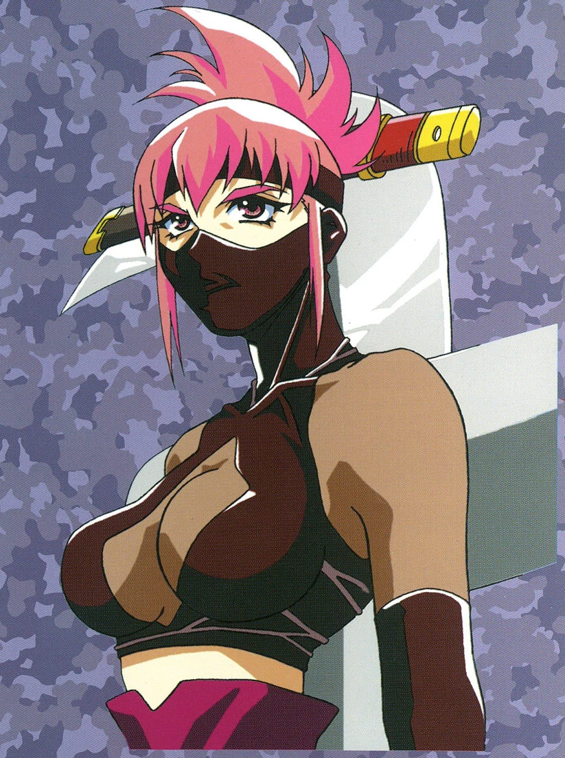 miyabi ninja v1.0