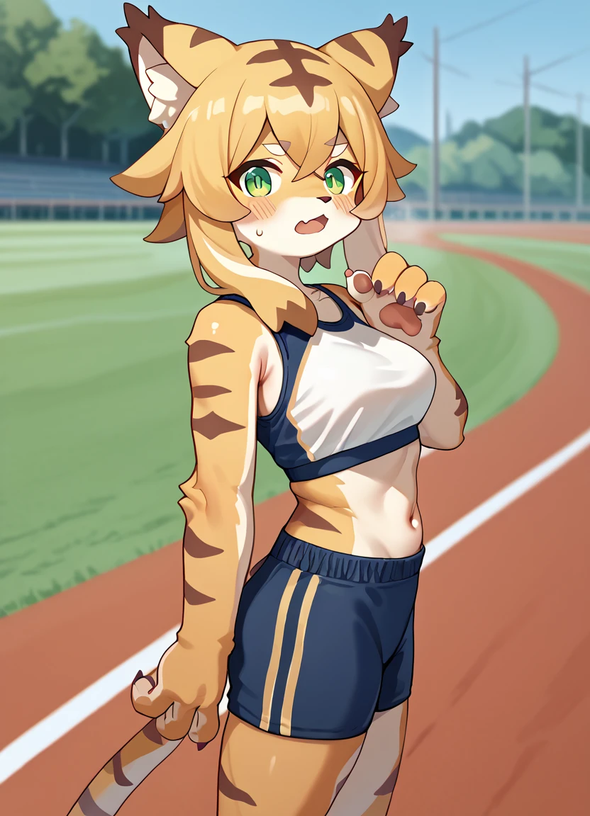 score_9,score_8_up,score_7_up,score_6_up,score_5_up,score_4_up, best quality, masterpiece, good hands,
1girl, solo, mia_(world_flipper), yellow fur, furry female, furry, tiger girl, tail, :3, medium breasts, green eyes, light blush, claws, 5fingers,
from side, path, sportswear, sweat, white crop top, shorts, looking at viewer, open mouth, standing, track and field,