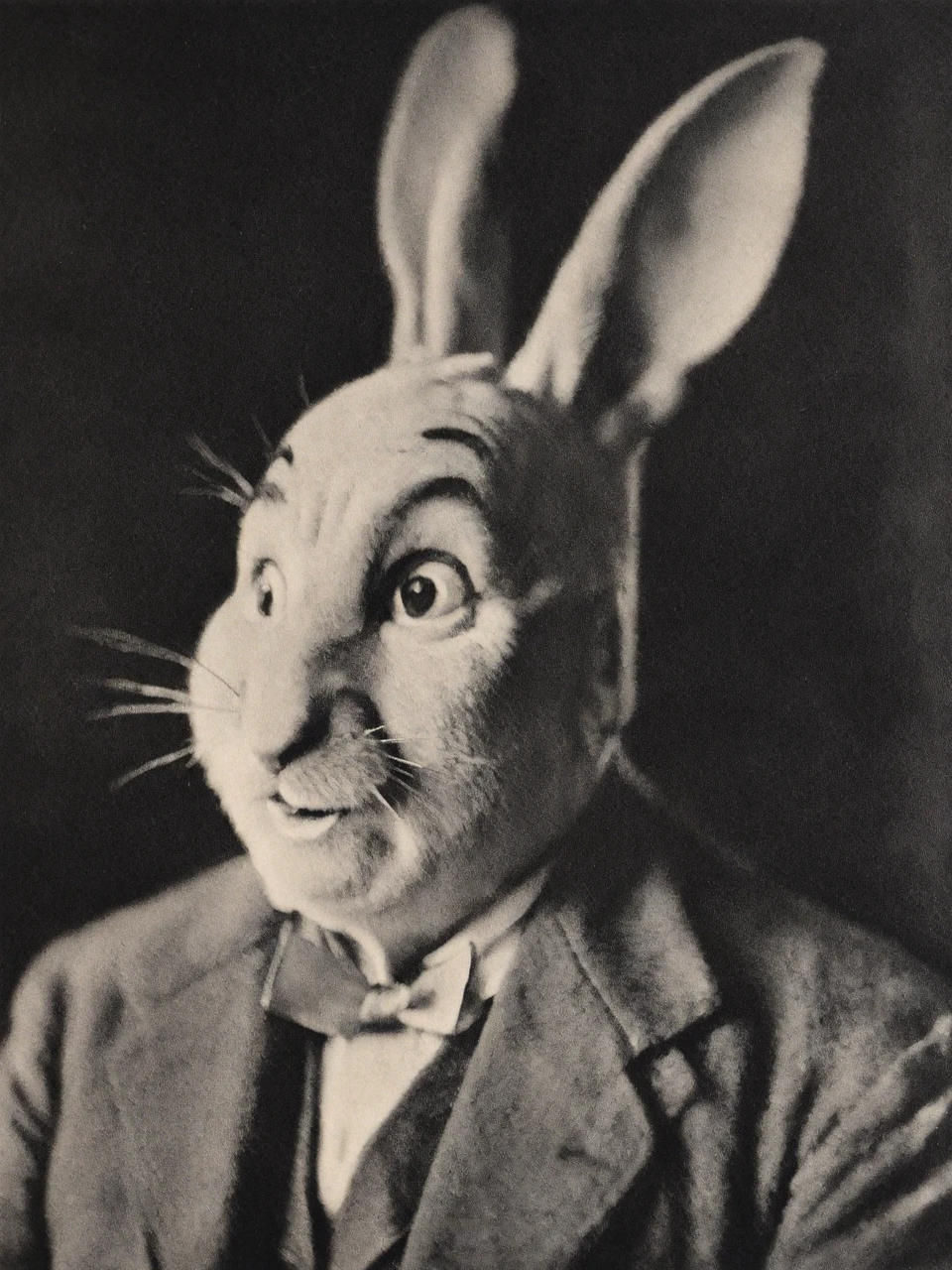 Roger Rabbit, pictorialist portrait photo in the style of alvin-langdon-coburn, monochrome
