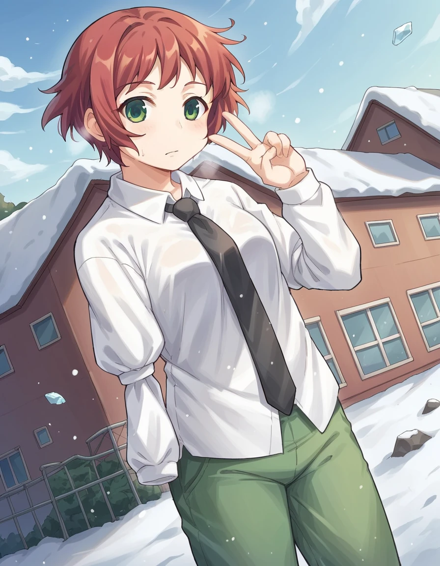 score_9, score_8_up, score_7_up, source_anime, <lora:rin-tezuka-ingame-ponyxl-lora-nochekaiser:1>, rin tezuka, short hair, green eyes, red hair, amputee,, shirt, long sleeves, school uniform, white shirt, necktie, collared shirt, pants, green pants,, glacier, ice, cold, blue, snowy, , v,, looking at viewer, solo,, dutch angle, cowboy shot