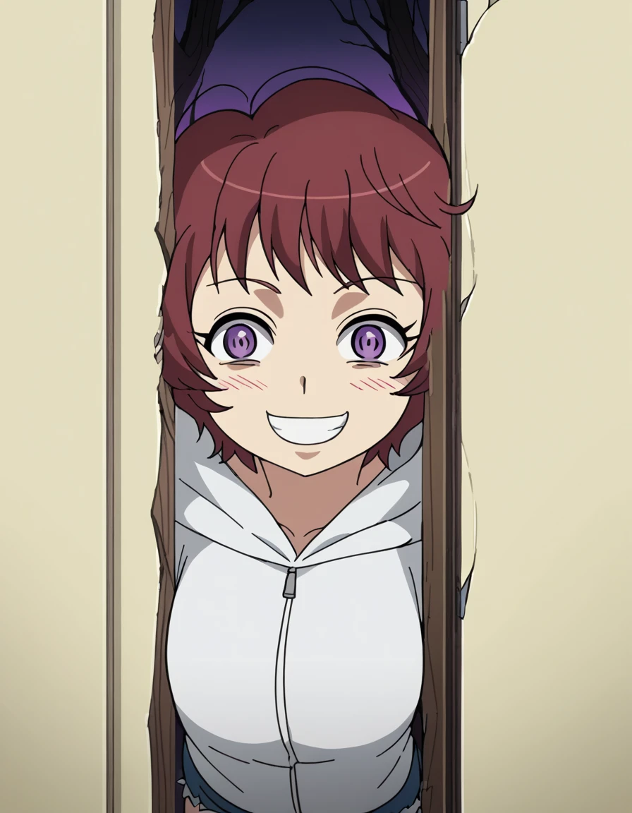 score_9, score_8_up, score_7_up, source_anime, <lora:rayet-areash-s1-ponyxl-lora-nochekaiser:1>, rayet areash, short hair, brown hair, purple eyes, red hair, medium breasts, anime screencap,, hood, hoodie, shorts, denim shorts,, graveyard, tombstones, dark, trees, eerie, smile, <lora:heres-johnny-ponyxl-lora-nochekaiser:1> heres johnny, here's johnny! (meme), broker door, hole in wall, breaking through wall, meme, crazy smile, blush, door, crazy eyes, hole, evil smile,, completely nude,, looking at viewer, solo,, dutch angle, cowboy shot
