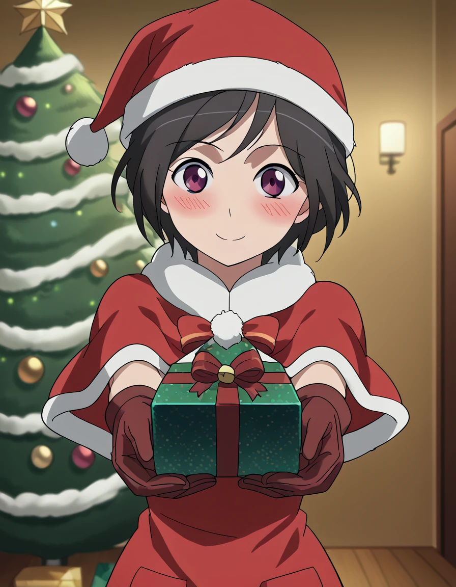 score_9, score_8_up, score_7_up, source_anime, <lora:inko-amifumi-s1-ponyxl-lora-nochekaiser:1>, inko amifumi, short hair, black hair, purple eyes, medium breasts, anime screencap,, <lora:santa-costume-ponyxl-lora-nochekaiser:1>, santa costume, santa hat, christmas, sack, merry christmas, gift, fur-trimmed headwear, holding sack, santa dress, fur-trimmed dress, christmas tree, christmas tree, fur trim, red capelet, gift box, red gloves, fur-trimmed capelet, santa gloves, red hat, hat,, smile, blush, looking at viewer, <lora:incoming-gift-ponyxl-lora-nochekaiser:1>, incoming gift, outstretched arms, holding, holding gift, gift, gift box,, , dutch angle, cowboy shot