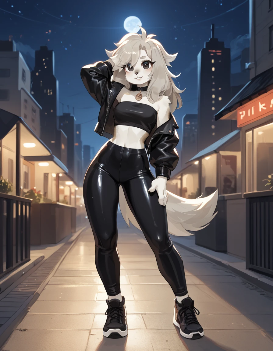 score_9,score_8_up,score_7_up,
outdoors,city,night, night sky, full moon, 
full body,smile,parted lips,long eyelashes,
shiny spandex pants,tube top, leather jacket, pose
<lora:Allie_v01_PDXL:1>,A11ie,1girl,solo,furry female,dog girl,black eyes,dog ears,dog tail,long hair,grey hair,body fur,white fur,
<lora:add-detail-xl:1>,