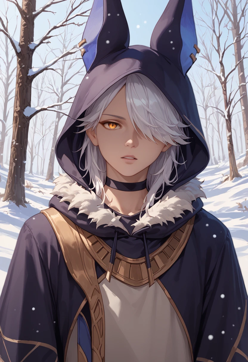 score_9, score_8_up, score_7_up, score_6_up, score_5_up, score_4_up, masterpiece, ultra-detailed, high resolution,

cyno, 1boy, male focus, hair over one eye, hood, fur trim, animal hood, animal ears, jackal ears, fur-trimmed hood, hood up, snow, orange eyes, choker, tree, solo, bridal gauntlets, upper body, outdoors, parted lips, yellow eyes