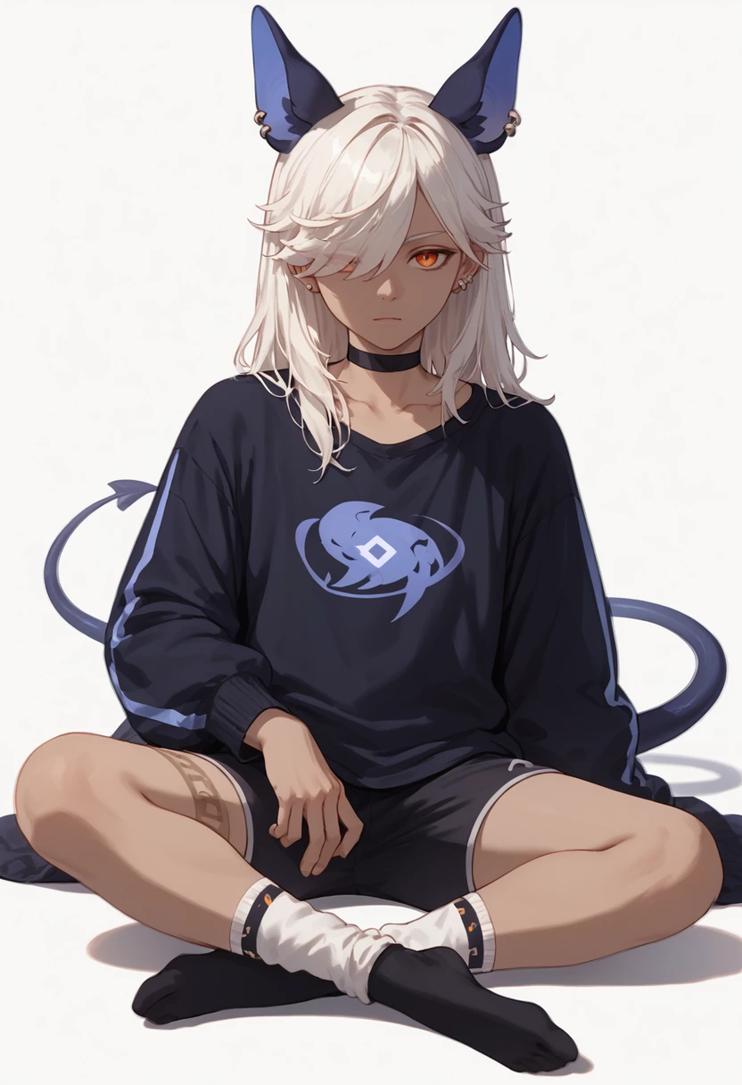 score_9, score_8_up, score_7_up, score_6_up, score_5_up, score_4_up, masterpiece, ultra-detailed, high resolution,

cyno, animal ears, solo, hair over one eye, long hair, 1boy, male focus, choker, sitting, looking at viewer, white background, black choker, ear piercing, black shorts, shorts, simple background, long sleeves, socks, tail, piercing, alternate costume, bangs