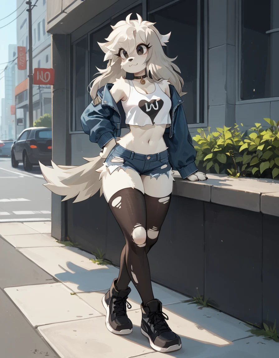 score_9,score_8_up,score_7_up,
outdoors,city, 
full body,seductive smile,long eyelashes,
torn thighhighs, denim shorts, crop top,denim jacket, 
<lora:Allie_v01_PDXL:1>,A11ie,1girl,solo,furry female,dog girl,black eyes,dog ears,dog tail,long hair,grey hair,body fur,white fur,
<lora:add-detail-xl:1>,