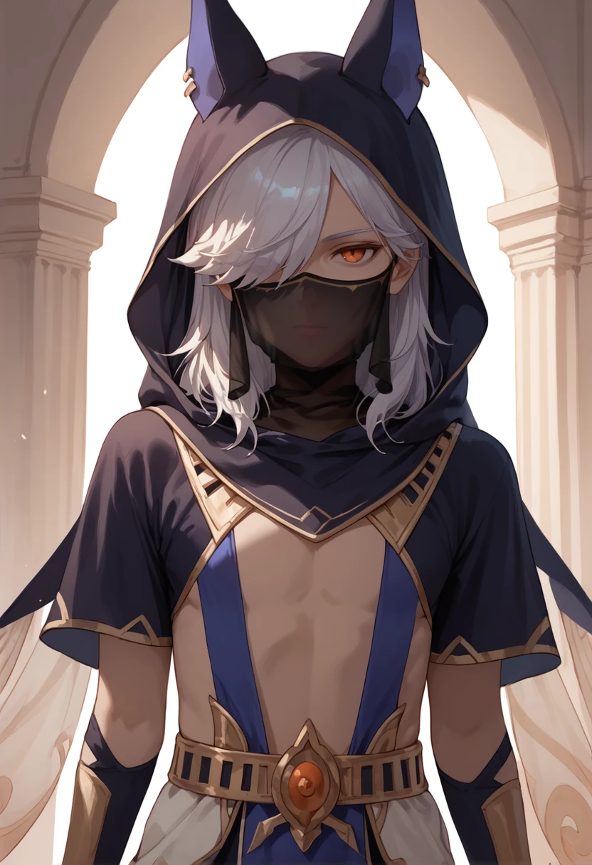 score_9, score_8_up, score_7_up, score_6_up, score_5_up, score_4_up, masterpiece, ultra-detailed, high resolution,

cyno, arabian clothes, 1boy, male focus, hair over one eye, mouth veil, animal ears, solo, veil,  jewelry, looking at viewer, long hair, bridal gauntlets, hood, bangs, harem outfit