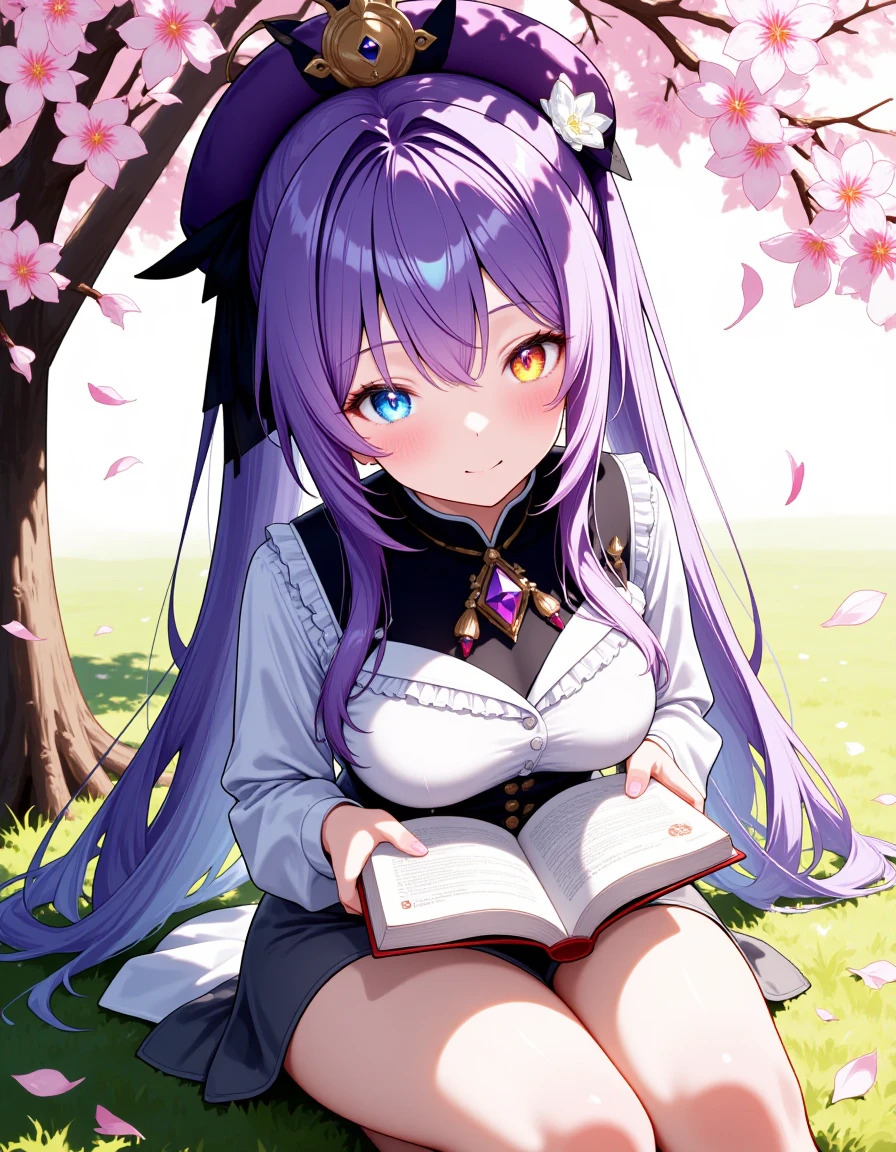 emilie beta, purple headwear, purple hair, blue eyes, bright pupils, ((colored eyelashes, purple eyelashes)), long sleeves, long hair, frills, ponytail, black headwear, white shirt, purple gemstone, necklace, miniskirt, grey skirt, reading under tree, calm expression, open book in lap, cherry blossom petals falling, spring setting, dappled sunlight, soft breeze, shaded grass, serene atmosphere, mid shot , looking at viewer, detailed eyes, gradient eyes, perfect eyes, eye reflections, lens flare, ultra-detailed, 8k resolution, intricate details,
illustrious style, <lora:flux_illustriousXL_v1-rev4:0.9>