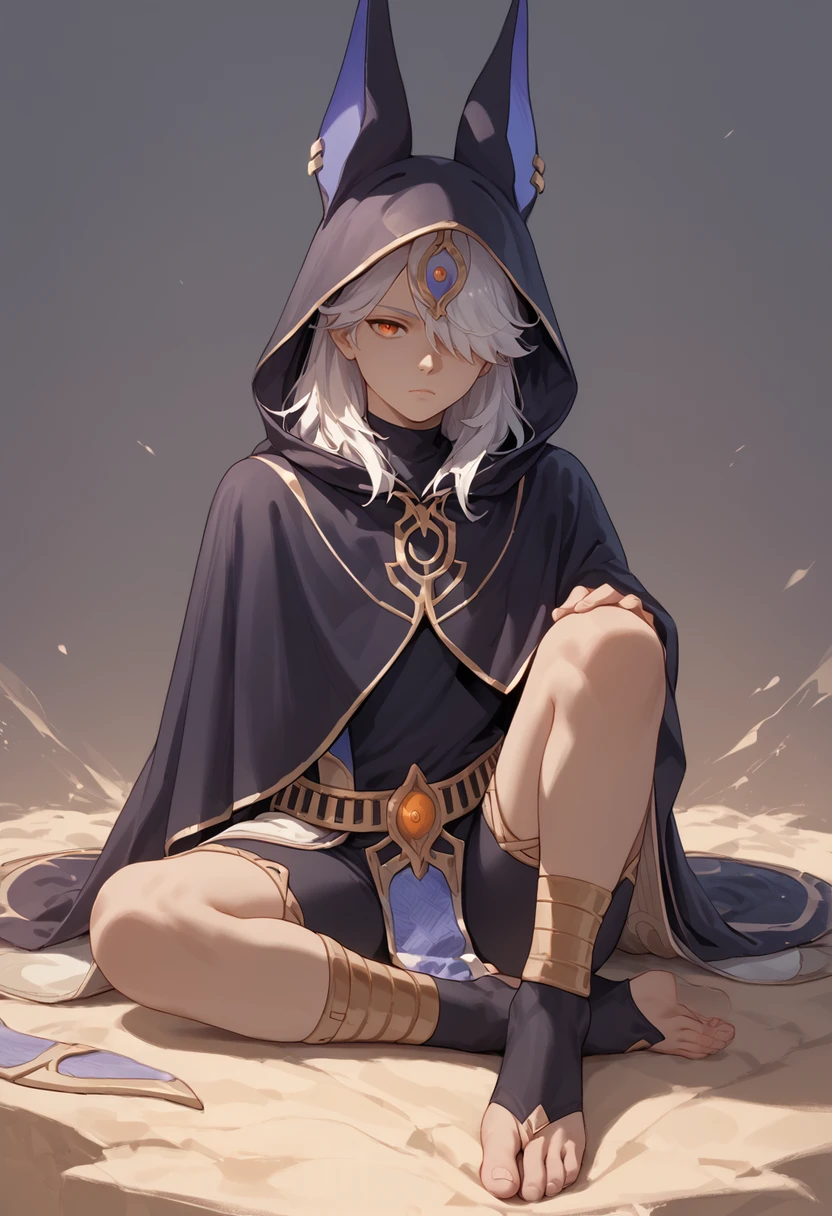 score_9, score_8_up, score_7_up, score_6_up, score_5_up, score_4_up, masterpiece, ultra-detailed, high resolution,

cyno, 1boy, male focus, sitting, animal ears, hair over one eye, hood, long hair, toes, solo, hood up, animal hood, bangs, toeless legwear, jackal ears, closed mouth, cloak, animal hat, feet