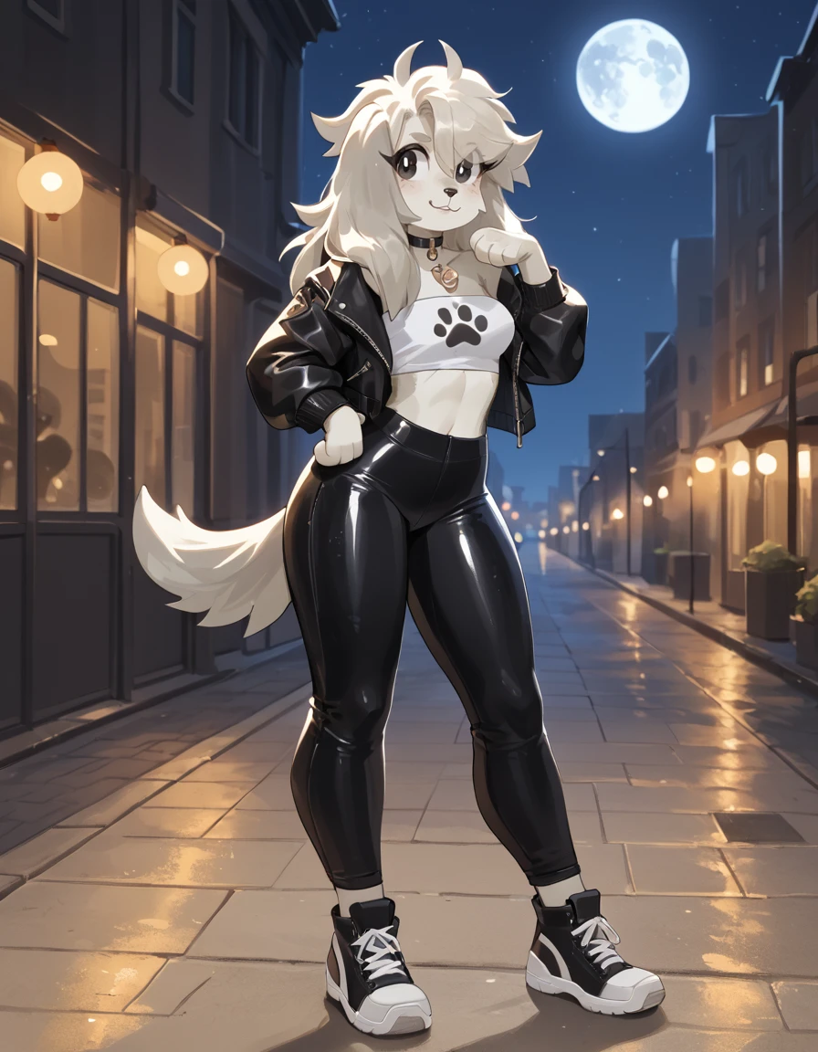 score_9,score_8_up,score_7_up,
outdoors,city,night, night sky, full moon, 
full body,smile,parted lips,long eyelashes,
shiny spandex pants,tube top, leather jacket, pose
<lora:Allie_v01_PDXL:1>,A11ie,1girl,solo,furry female,dog girl,black eyes,dog ears,dog tail,long hair,grey hair,body fur,white fur,
<lora:add-detail-xl:1>,