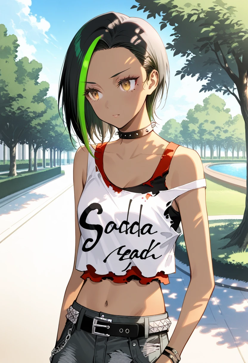 artist:gomzi,artist:wanke,artist:diyokama, rei_(sanbonzakura),[[artist:fuzichoco]],year 2024, park, 1girl, solo,
zoe taska, black hair, green hair, streaked hair, yellow eyes, short hair, dark skin, crop top, tank top, torn clothes, spiked collar, belt, torn jeans,
upper body,
<lora:ntmf_majorcharacters.ilxl.v02:1>