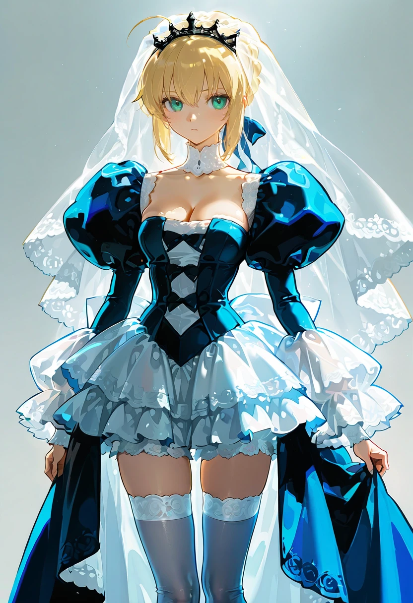 1girl,solo,looking at viewer,ikeda ruriko, bl dress, veil,puffy sleeves,thighhighs, saber_(fate)