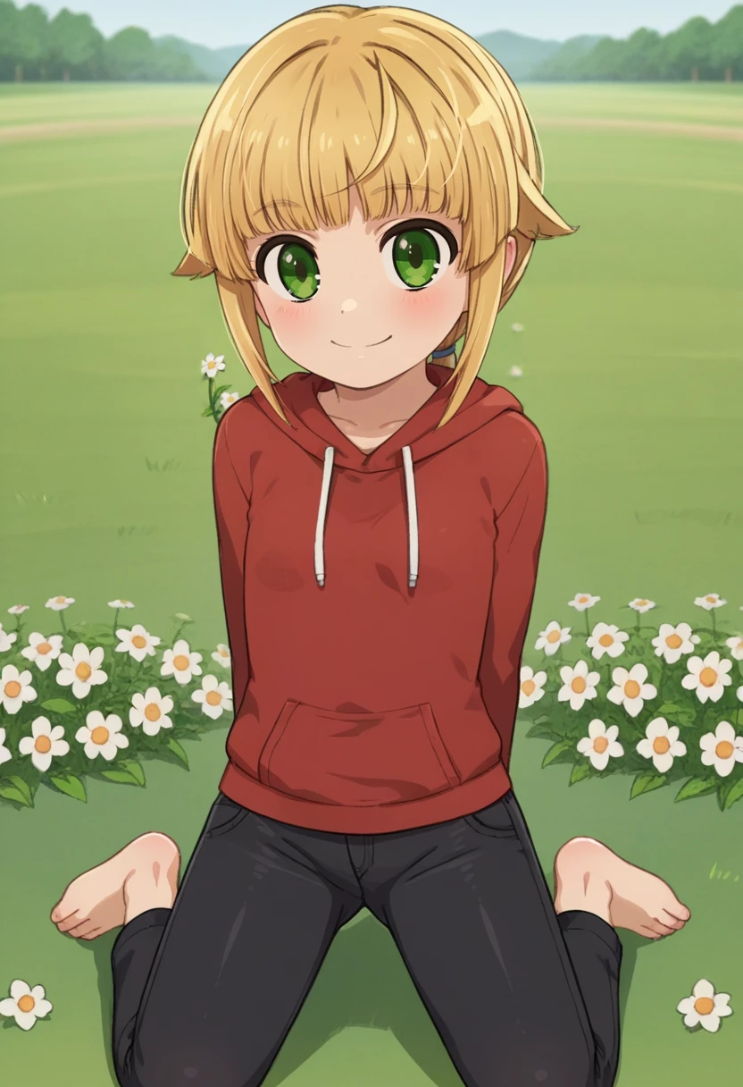 score_9, score_8_up, score_7_up, , <lora:add-detail-xl:3>,
BREAK
<lora:MT_col:0.7>, mt, (norn), blonde hair, short hair, low ponytail, green eyes, , smile, blush, closed mouth, kneeling, hands behind back, ,
BREAK
solo, flower, flower field, outdoors, hoodie, black pants,