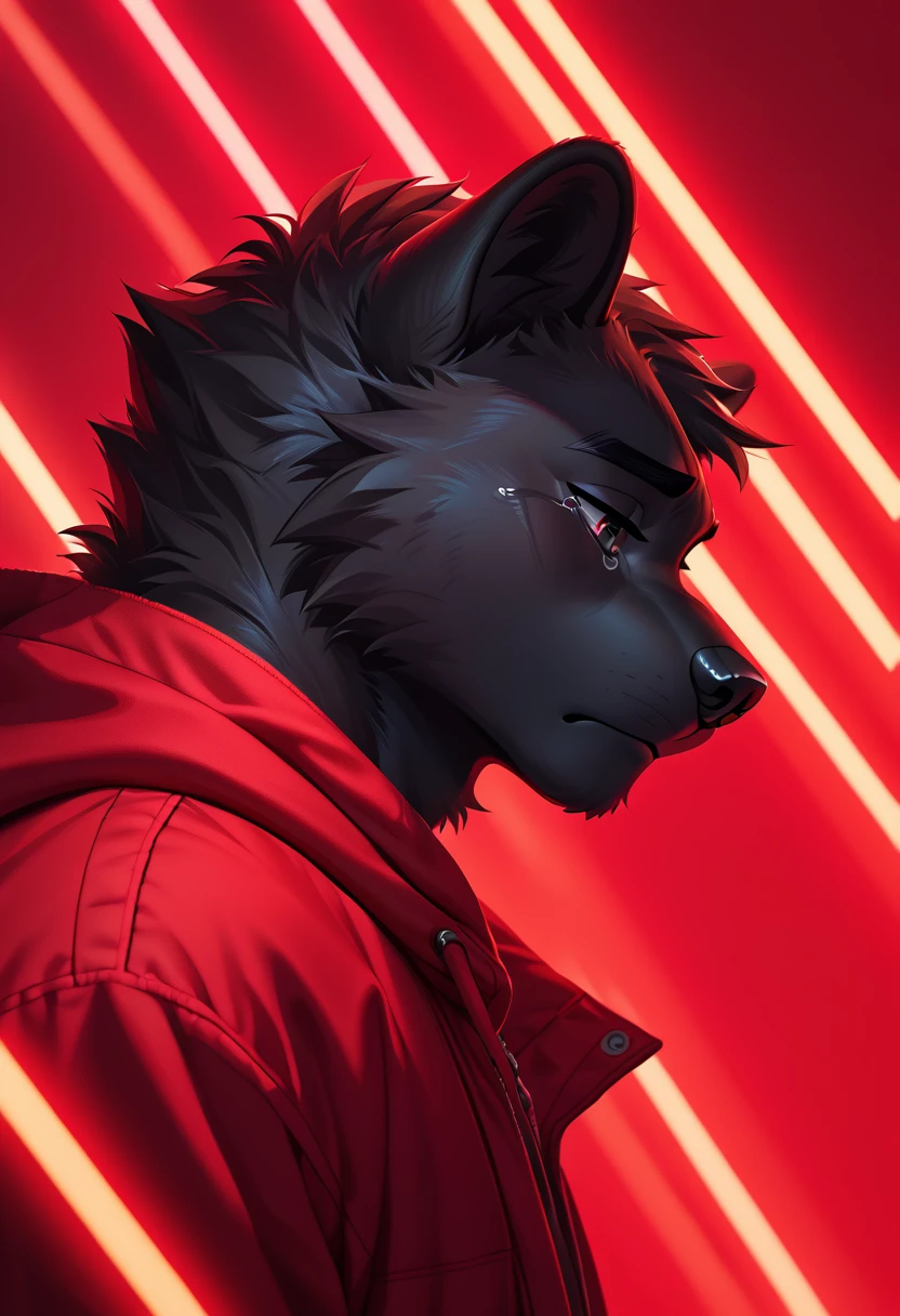 Masterpiece, score_9, score_8_up, beautifully detailed, male, anthro, furry, panther, black fur, black body fur, red hoodie,  (lines_light_background:1.2), gradient black to red background, white neon line background, <lora:line_background:1>,  dark, sad, look down, side view, tear